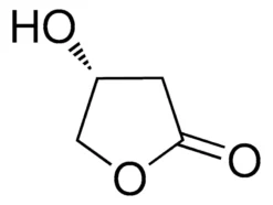 (R)-3-гидрокси-γ-бутиролактон