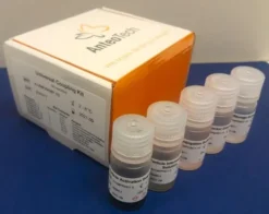 Универсальный набор для конъюгации