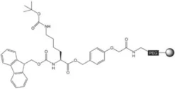 Fmoc-Lys(Boc)-NovaSyn® TGA