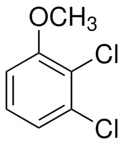 2,3-Дихлоранизол
