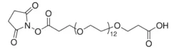 NHS-эфир кислоты dPEG13