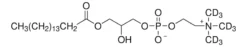 1-Пальмитоил-рац-глицеро-3-фосфохолин-(триметил-d9)