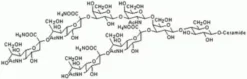 Ганглиозид GQ1b (Тетрасиало, Тетрааммонийная соль) из мозга крупного рогатого скота