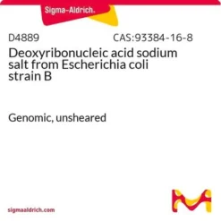 Дезоксирибонуклеиновая кислота натриевая соль из Escherichia coli штамм B