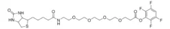 Биотин-дПЭГ4-ТФП эфир