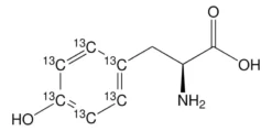 L-Тирозин-(фенил-¹³C₆) 99 атомных % ¹³C для ЯМР