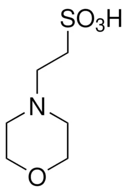 Морфолиноэтансульфоновая кислота (MES)