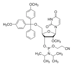 Фосфорамидит DMT-2′-O-метил-rU