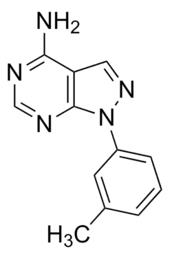 1-(3-метилфенил)-1H-пиразоло[3,4-d]пиримидин-4-амин