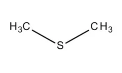 Диметилсульфид Чистый (ДМС) для Синтеза