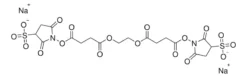 Сульфо-ЭГС (сукцинимидилсукцинат этиленгликоля)