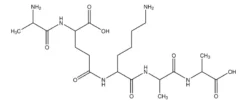 Пентапептид Ala-D-γ-Glu-Lys-D-Ala-D-Ala
