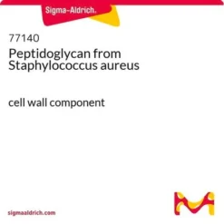 Пептидогликан из Staphylococcus aureus