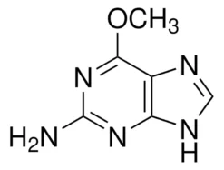6-O-Метилгуанин