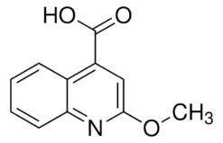 2-Метоксихинолин-4-карбоновая кислота