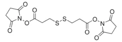 Ди(N-сукцинимидиловый) эфир 3,3'-дитиодипропионовой кислоты
