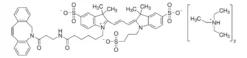 DBCO-Cy3