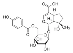 Кислота 6′-(п-гидроксибензоил)муссенозидная