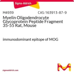 Фрагмент пептида гликопротеина миелина олигодендроцитов 35-55 (Крыса, Мышь)