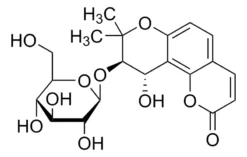 Кампестринозид