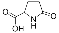 DL-Пироглутаминовая кислота 99% (CAS 149-87-1) для асимметрического синтеза
