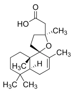 Гринделиковая кислота