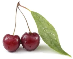 3-метил-2-бутеналь