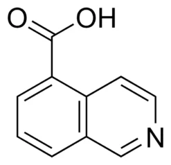 Изохинолин-5-карбоновая кислота