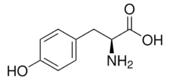 L-Тирозин FG: аминокислота для фармацевтики и нутрицевтики