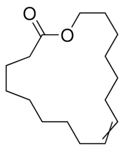 Изоамбреттолид