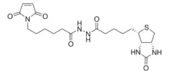 Биотин-малеимид