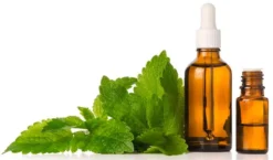 Масло мелиссы
