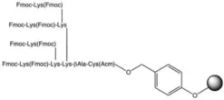 Fmoc-Lys-Lys-Lys-Cys(Acm)-бета-Ала-Ванг смола