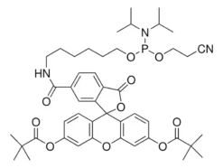 Фосфорамидит 6-FAM для синтеза олигонуклеотидов
