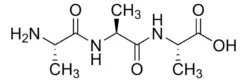 Аланил-аланил-аланин (Ala-Ala-Ala)