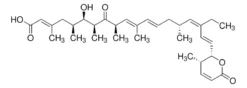 Раствор лептомицина B из Streptomyces sp.