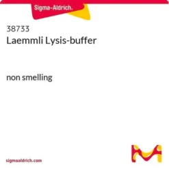 Буферный раствор Лэммли для лизиса