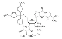 DMT-2′-O-TBDMS-рГ(ib) Фосфорамидит