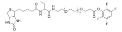 Биотинидаза-устойчивый биотин TFP-dPEG®12