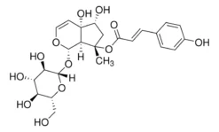 8-O-4-Гидроксициннамоилгарпагид