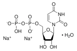 Уридин-5'-дифосфат динатриевая соль гидрат