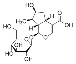 Логаниевая кислота