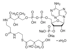 DL-3-Гидрокси-3-метилглутарил кофермент A натрия гидрат