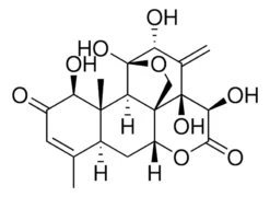 Эврикоманон