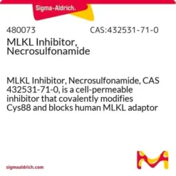 Ингибитор MLKL, Некросульфонамид