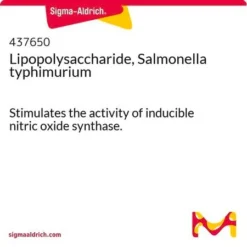 Липополисахарид Salmonella typhimurium