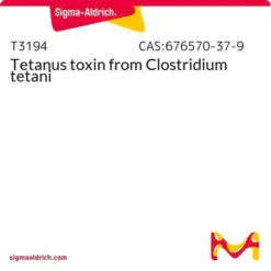 Токсин столбняка (Clostridium tetani)