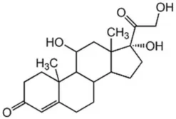 Hydrocortisone