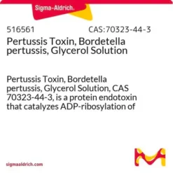 Токсин коклюшной палочки (Bordetella pertussis) в глицериновом растворе
