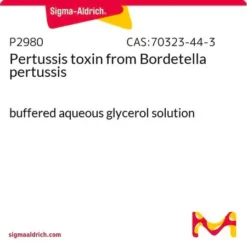 Токсин коклюша из Bordetella pertussis